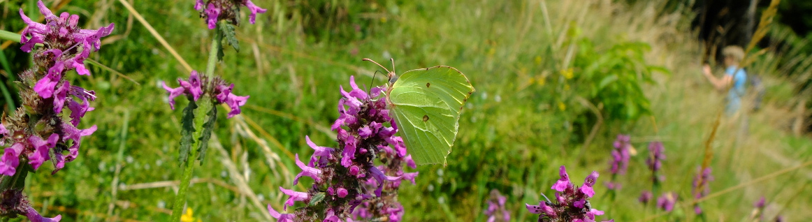 Logo Natur & Du